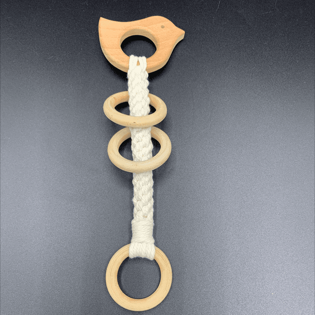 Hoche de dentitions 